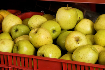 red box with fresh green apples