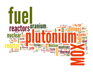 Mox Fuel word cloud on white