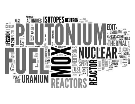 Mox Fuel word collage