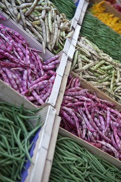 Haricots march&eacute; l&eacute;gumes bio alimentaire di&eacute;t&eacute;tique
