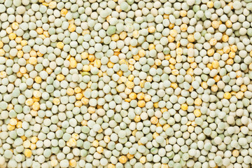 green and split peas background