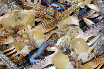 Seafood in the market