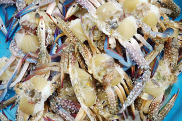 Seafood in the market