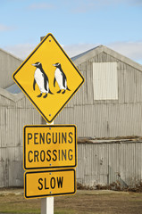 A Penguins Crossing Sign in Oamaru, New Zealand