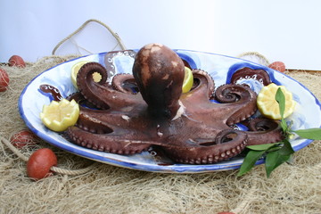 polipo in bellavista 3