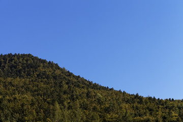 mountain crest wood, clear blue sky