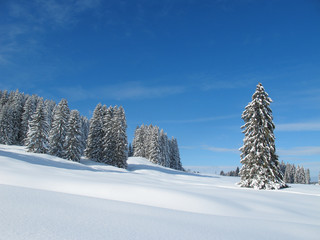 Winterlandschaft