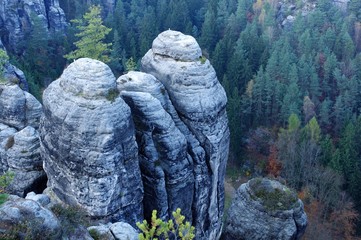 Wilderness