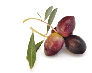 Aceitunas