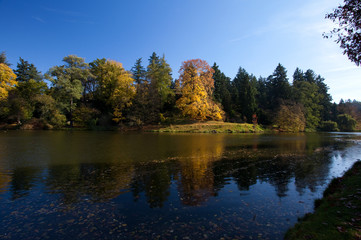 Fototapeta na wymiar piękny krajobraz jesienny z kolorowych drzew i staw