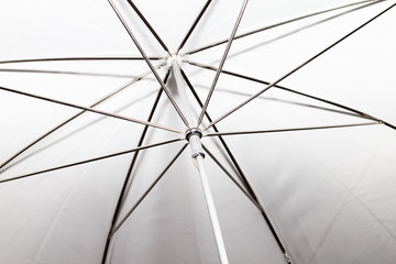 Under my studio umbrella