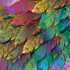 Seamless background of exotic colorful feathers, close up