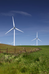 Fototapeta premium Power Generating Windmills