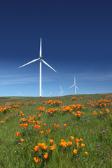 Power Generating Windmills
