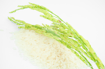 Reis frisch vom Feld