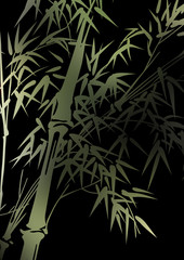 グラフィックプランツ