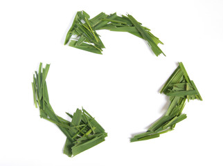 Recycle symbol made of grass