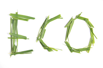 Eco word made of grass. Over white.