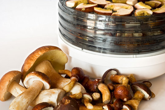 mushrooms to drying