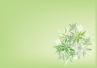 Flora oriental greeting card