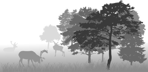 grey illustration with deers in forest