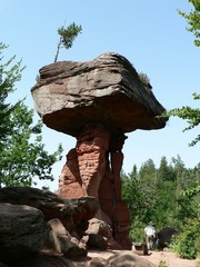 Pfälzer Wald - Teufelstisch 02