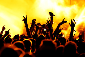Jubelnde Konzertbesucher auf Rock-Konzert