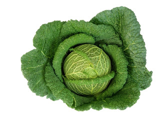 Gros chou vert frisé