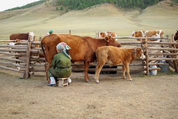 Scene rurale, Mongolie