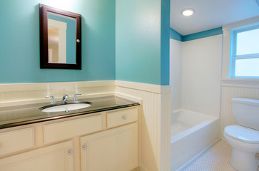 Obraz na płótnie Canvas Bathroom. Blue.