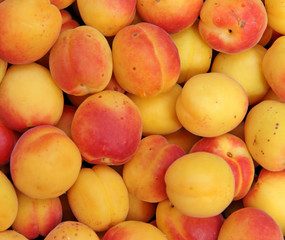 Apricots