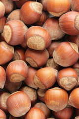 hazelnuts background