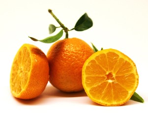 Orangen - Mandarinen