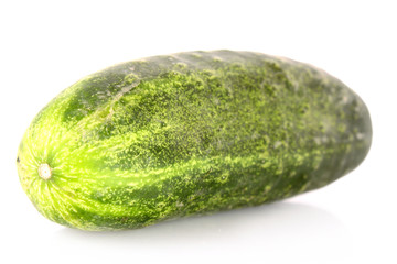 Cucumber isolated on white