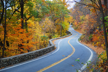 Fototapeta premium Winding Autumn road with colorful foliage