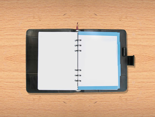 Leather organizer