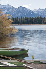 Fototapeta premium Ruderboote am Hopfensee