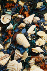 potpourri