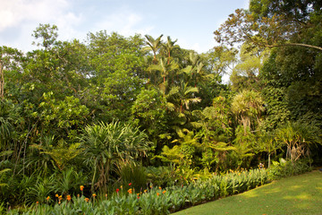 Singapore Botanic Gardens