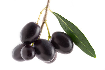Olive pendenti