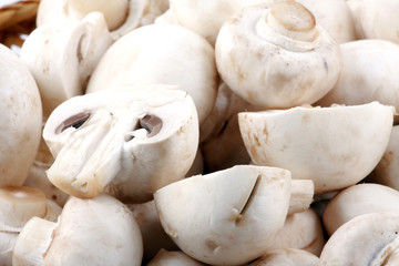 Mushrooms