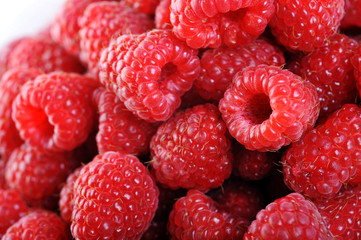 Ripe red raspberries
