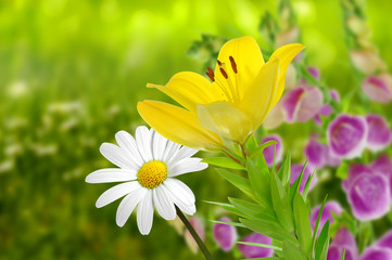 Blumen 188