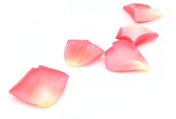Petals
