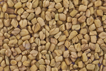 Fenugreek or Methi