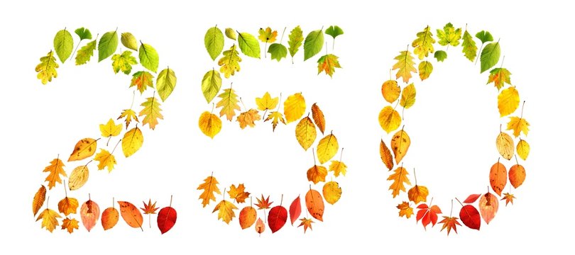 foliage 250