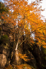 Herbst in der Sächsischen Schweiz