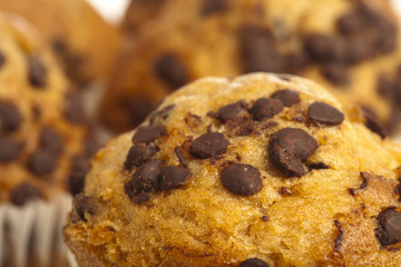 muffin