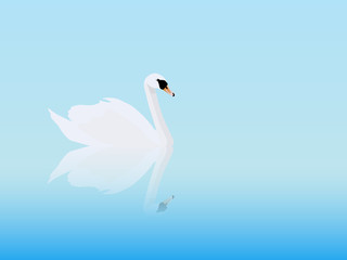 swan