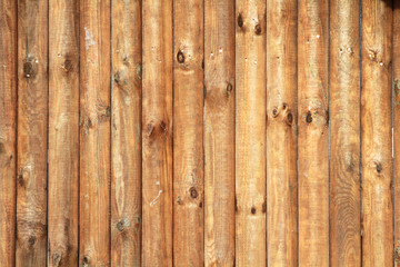 Holz